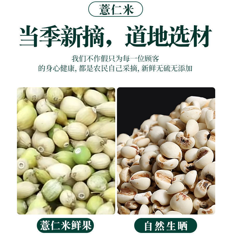 Coix Seed Yi Yi Ren 500g Dried Job's Tears for Tea Soup and Congee quality and texture