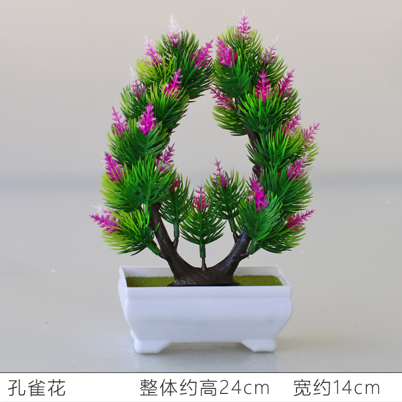 孔雀花莲色