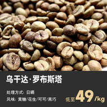 现货量大优惠乌干达罗布斯塔日晒15目咖啡生豆商用未烘焙豆新产