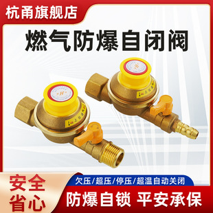 Household Gas Self-Closing Valve Automatic Air-Breaking Gas Natural Gas Stove Front Valve Water Heater Air Leakage Explosion-Proof Super Pressure Protection