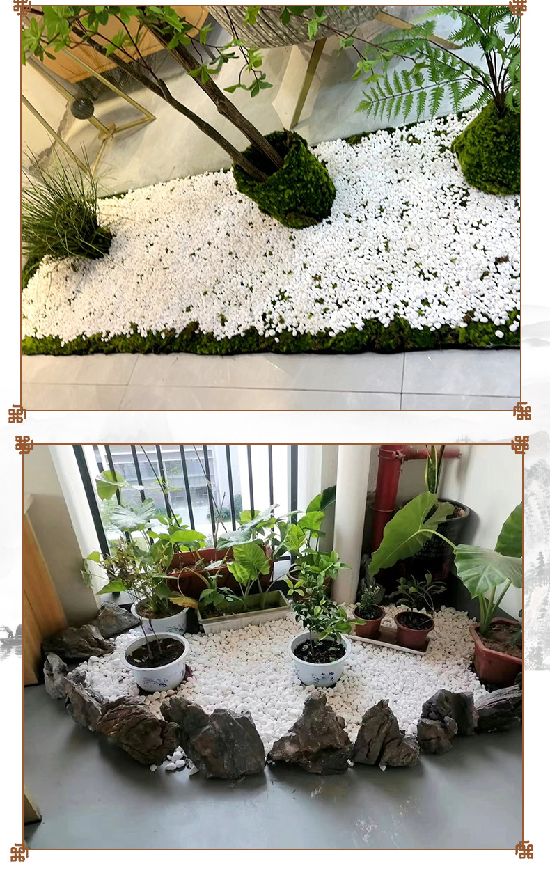 白石子_13