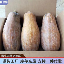 ��ϸ�ԭ���Ϲ��r���ԷN���Ϲώ����Ŵ�SƤ��z�L�Ϲ������l