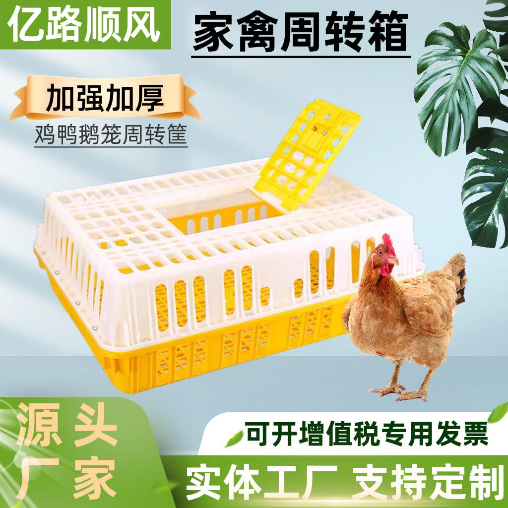 Los fabricantes suministran jaulas de plástico para pollos gruesos, pollos, patos, gansos, palomas y conejos.