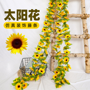 ����̫ꖻ��ٗl���տ����ټٻ������҃ȱڒ���{�ܵ��ړ��b��l
