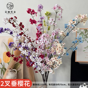 2���L֦���Ļ���ˇ�����ٻ��[���Ƶ�ǰ̨�b�����ٻ���c�b�