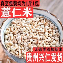 貴州興仁小薏仁米新貨農家自種薏米雜糧粗糧批發