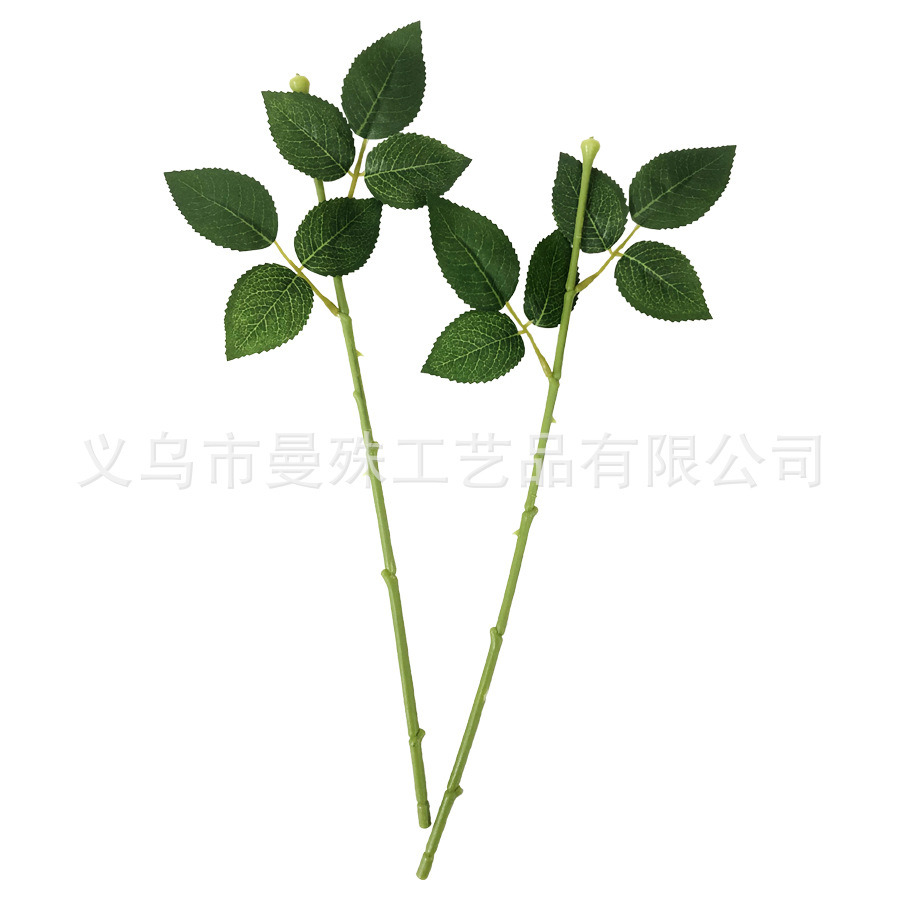 40cm 두께의 장미로드