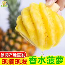 �Fժ����ˮ���}���r���}ˮ����Ƥ�������l��̩����ˮС���}�P��