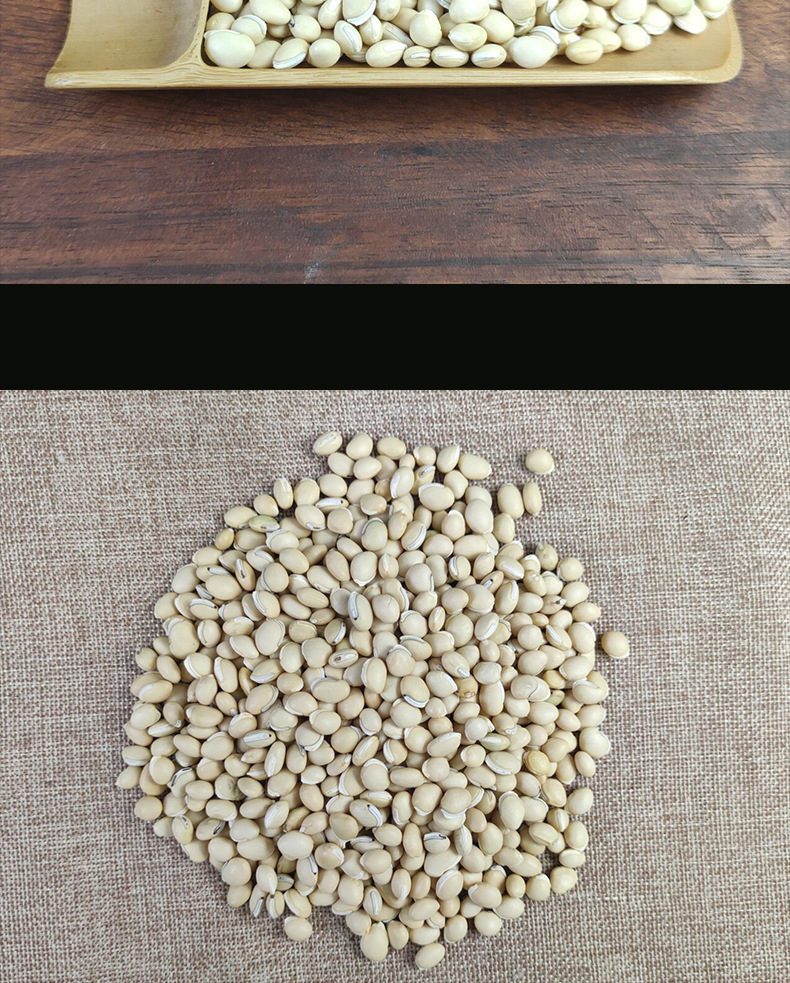 White Hyacinth Bean Bai Bian Dou 500g Dried Dolichos Seeds Hand Selected for Soup and Congee in use