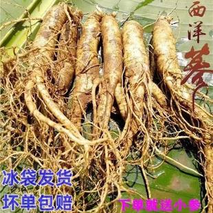 �L��ɽ�����r�����󅢻��셢�r����֧��Ƭ��۸߼��ݾ���ș����