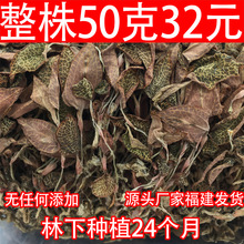包邮500g 1斤 福建 南靖 土楼  原生态林下种植 金线莲干品 散装