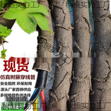 ���ϸɘ�֦늾����@��ľ���ٗl�bܷ�Ƥ������Ę��ٴ�����