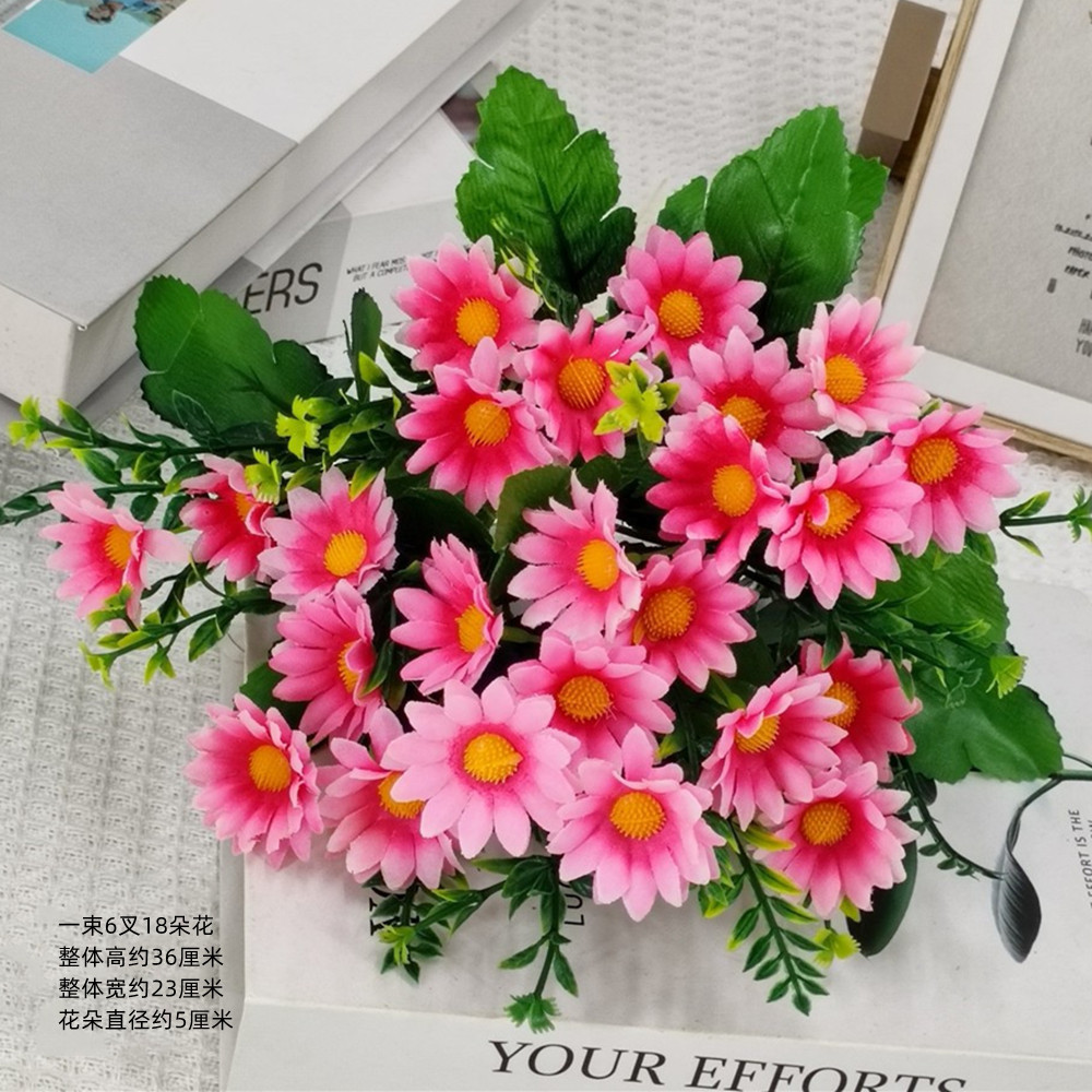 큰 데이지 순수 핑크