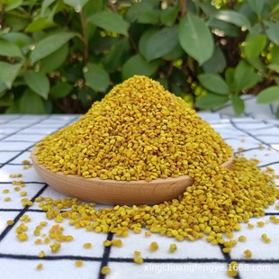 �S�����l�ߺ������׷仨�� �r���Ԯa���r���׻���  ���u���]