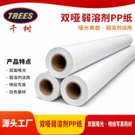 千树-215g哑面防水PP纸户外广告展板室内标牌销售点展示招牌直供