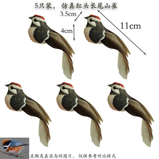 5���b����С�B��ëС�B�}�Q�仨�h�@���b� ���t�^�Lβɽȸ��