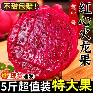 �������t�����rˮ���ﮔ�����亣�Ͻ�һ̖�t������C�������