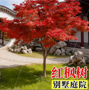 �t���������Ե����ձ��t�������t��С���Ї��t�ļ��tͥԺ�G��ֲ��