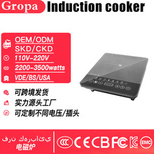 늴ŠtInduction cooker���ö๦�ܴ���110V-220V/�羳���Q�ӹ�