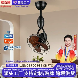 风扇灯;吊灯;吊扇