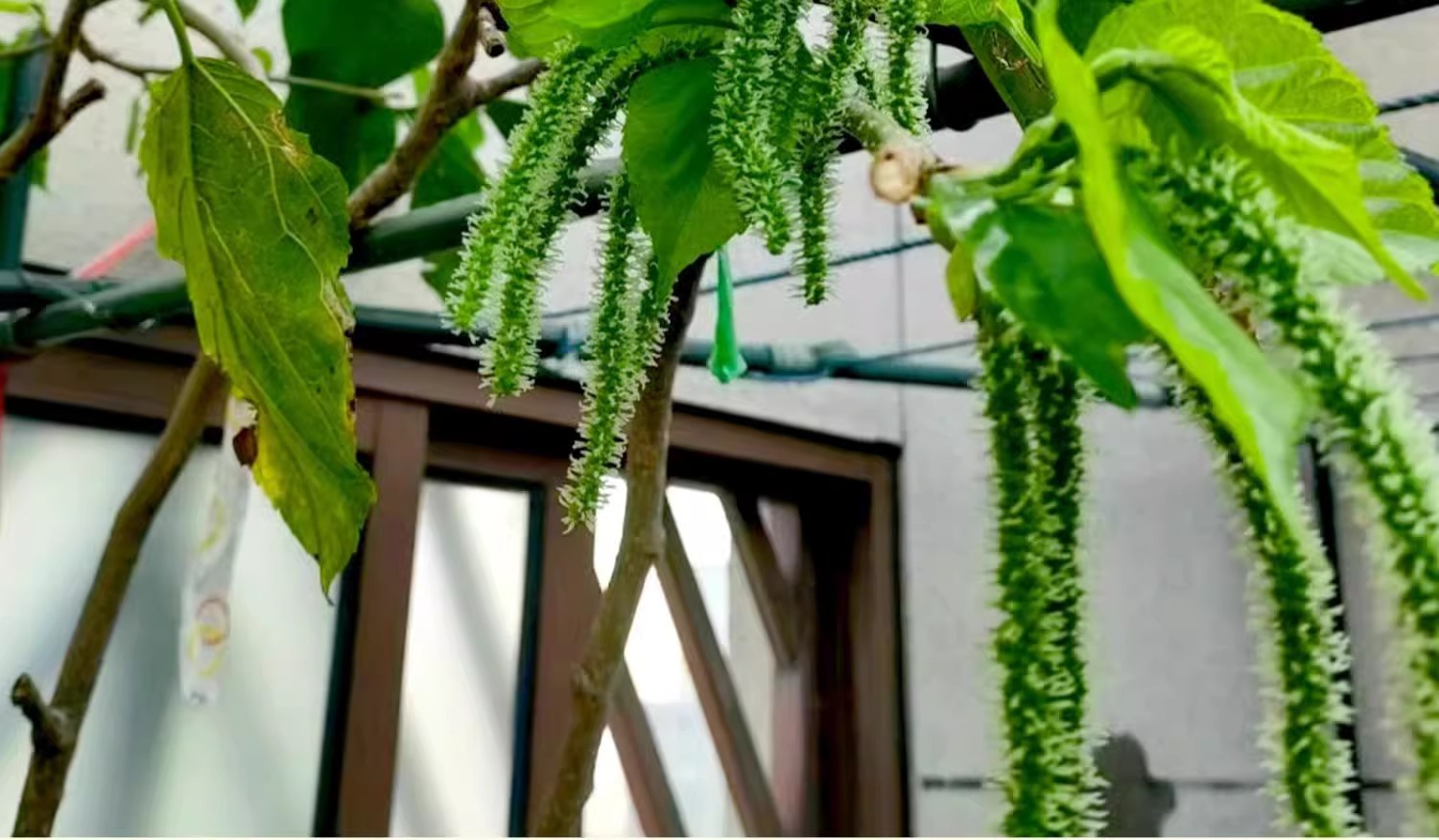 O1CN01eR63xU1KQs65WV2pt_!!2219532571159-0-cib.jpg?sign=583921_Mzg0OTAxODQ5