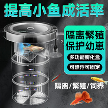 ��ȸ�~��ֳ���~�׸��x�д�̖���~С�~�綷�~�������������~�Ѯa��