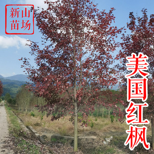�����t�����㽭���ݡ�2-25����ʮ�¹��x�����С�������������