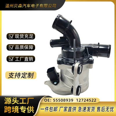 Lsy Water Pump 55508939 12724522 55510113 (Water pump)