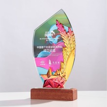 新款高档水晶奖杯创意炫彩奖牌公司年会表彰优秀员工荣誉颁奖奖品
