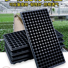 Ѩ�P����P���ϱ��Nֲ������ľ������I�B���߲����NǤ���r���бP