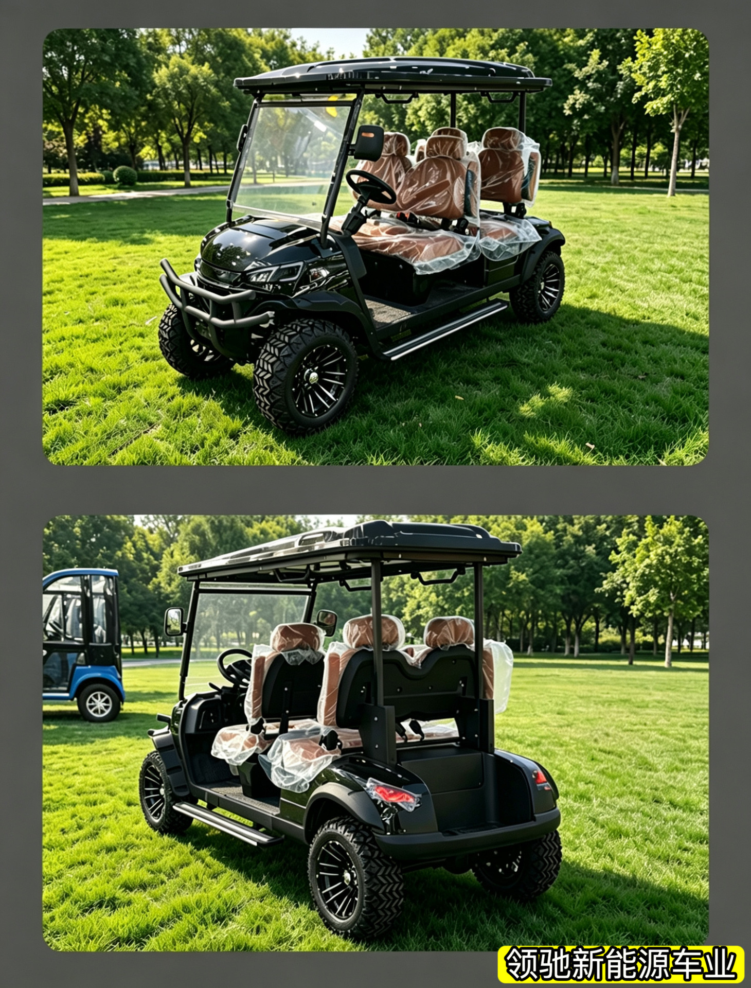 Electric Golf Cart for Tourist Attractions, Sightseeing Vehicle, Patrol Car, 2-4-6-8-10 Seats, Export Trade