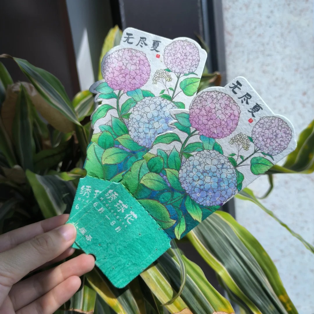 发芽门票种子纸定 制邀请函入场券可降解环保种子纸小卡片定 做