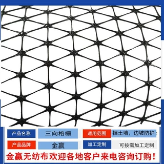 厂家直供三向土工格栅公路铁路路基加强护坡用 三向土工格栅