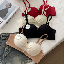 ԭ�湫�������¾۔nС�������@�����m�o�Ȧ�����ո�����´�����