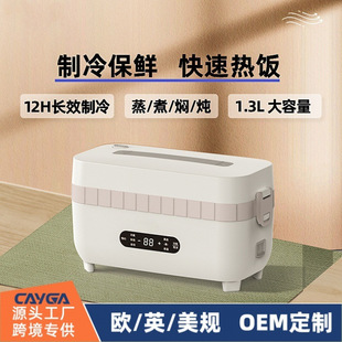 Cross-Border Refrigeration and Preservation Electric Heating Lunch Box, Insulated Self-Heating Meal Artifact, Us and European Standard 110V Hot and Cold Lunch Box New Product