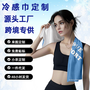 Source Factory Summer New Product Cool Quick-Drying Sports Towel Amazon E-Commerce Supply Customized Cold Towel with Pictures
