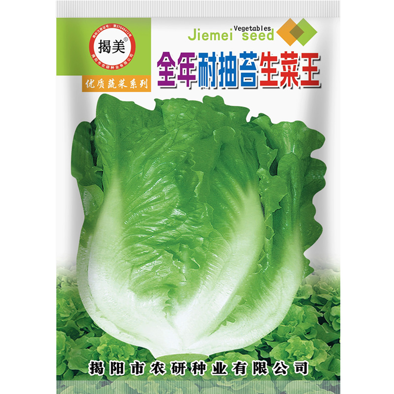 揭美10克意大利生菜种子 生菜籽 农业大田种植 阳台园艺盆栽