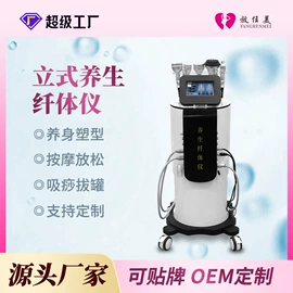 电子美容仪;商用美容仪;美容导入仪