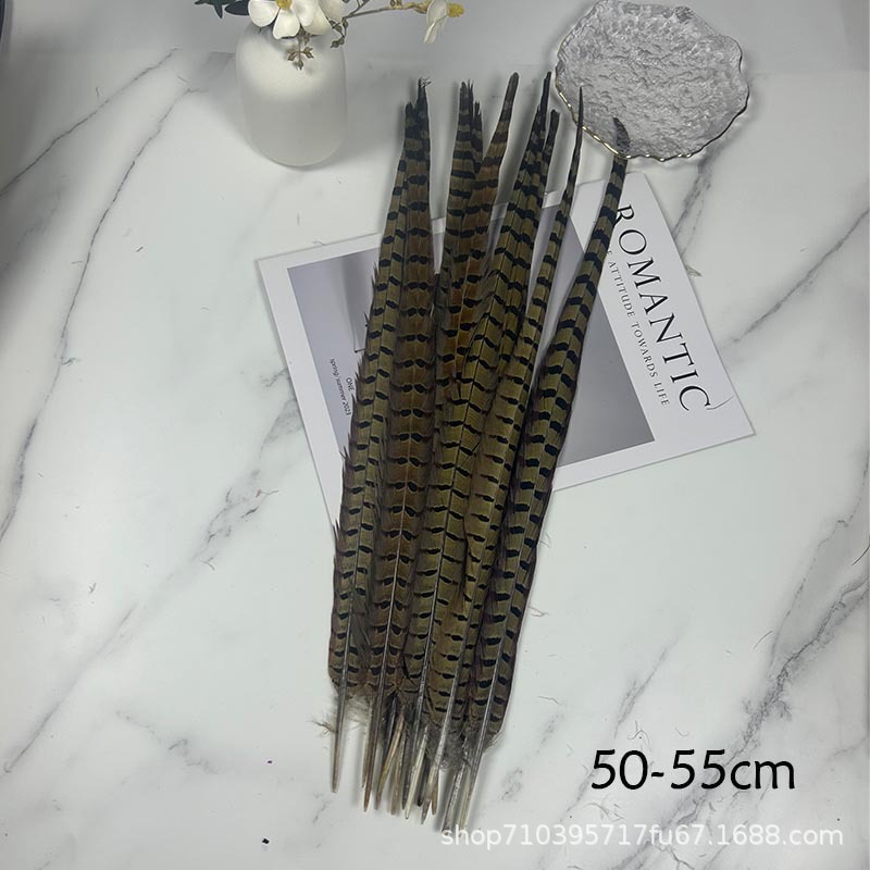 Fábrica al por mayor pelo de faisán 10-90cm cola de faisán pluma de bricolaje danza plumas de faisán cola de gallina palo de gato divertido image 18