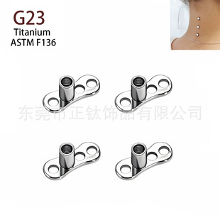 F136⁺Ͻ���ᔵ���G23�Ƥ��ֲ���i������w�����^�����Q�^