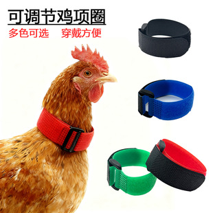 �羳������u�Ȧ���{�������u���Q�o�h�Y��ճ�iȦС���b���Ʒ