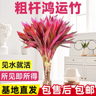 �����F��ˮ��ֲ��֗U�����͏d��ؔ�����҃Ⱥ��B���ˮ�B