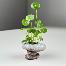 �մ�ˮ��С���軨��������ɻ��~�׼�ɽˮ�쾰ʯ�^���͔[��