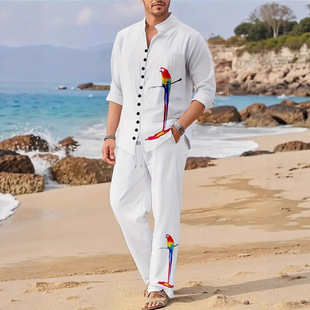 (Cross-border trading), demi-season solid cardigan, shirt, trousers, European style