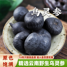 乌灵参干货云南白蚁窝直采煲汤必备配伍酸枣仁茯苓煮正品批发代发