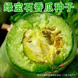 绿宝石甜瓜种子薄皮甜宝甜脆香瓜籽春季四季早熟高产庭院种子大全