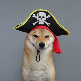 狗狗服装;其他小宠用品;宠物周边用品