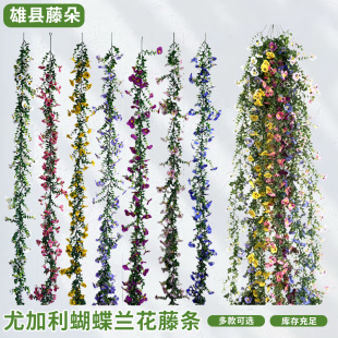 ���R�d�����ٗl������ɫ���Gֲ�����ȼ���õ���m��ֲ��ّҒ�ڒ�