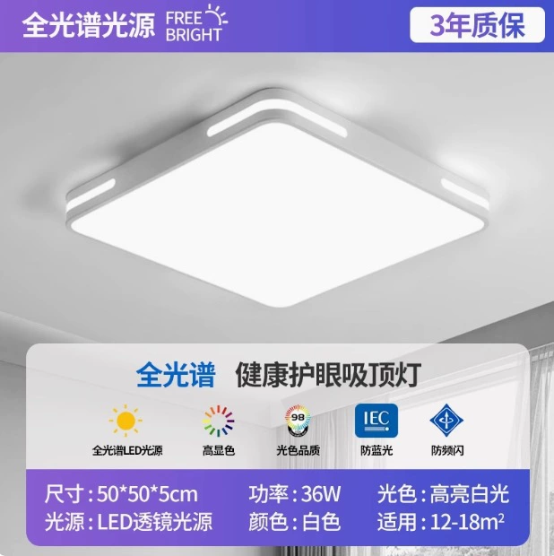 LED rectangular ceiling light, lights for living room for corridor for gazebo