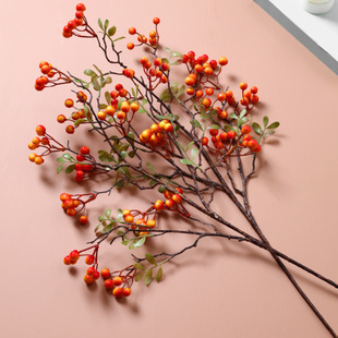 薔薇綠色圖片 海量高清薔薇綠色圖片大全 阿里巴巴